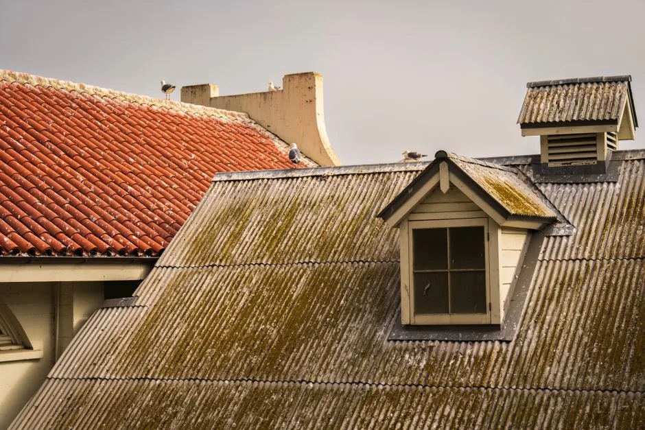 Free Roof Inspection in Nashville